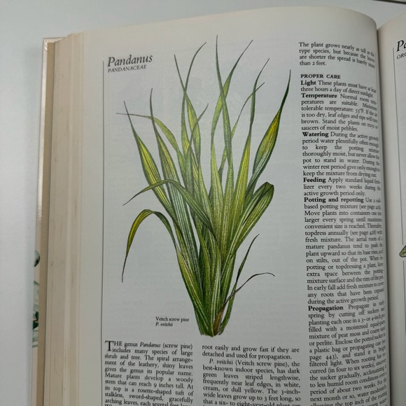 Reader’s Digest: Success with House Plants (1979) - Picture 5 of 7